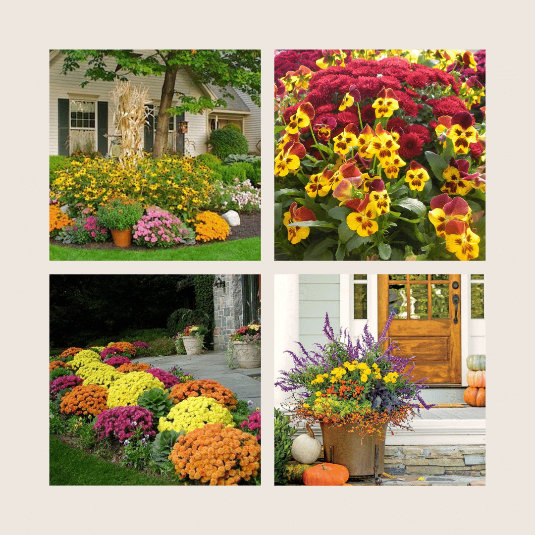 FALL PLANTING MASTER GARDENERS
