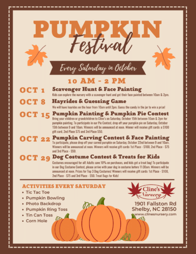 Pumpkin festival