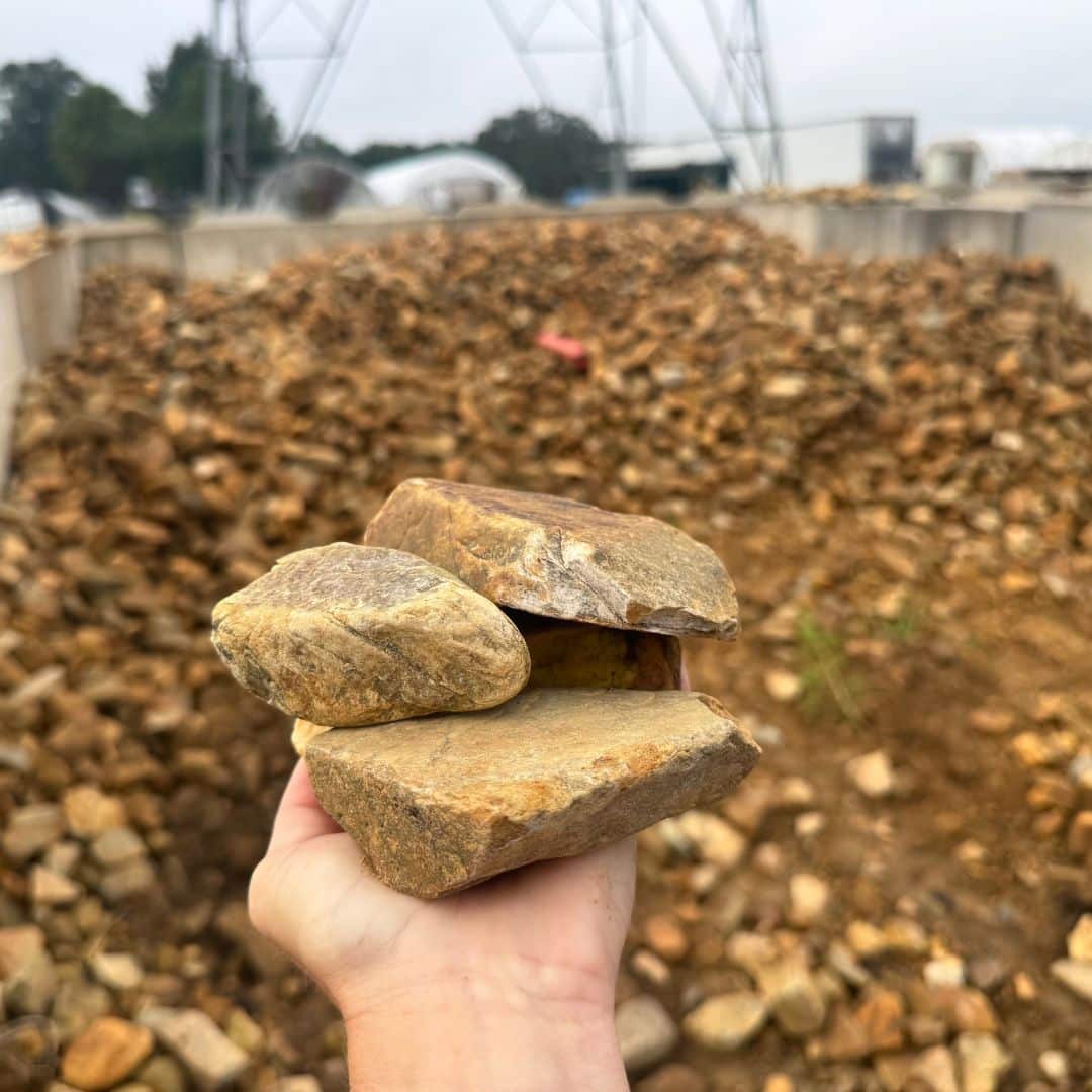 Autumn Haze 2-4 inch Autumn Haze 2-4 inch