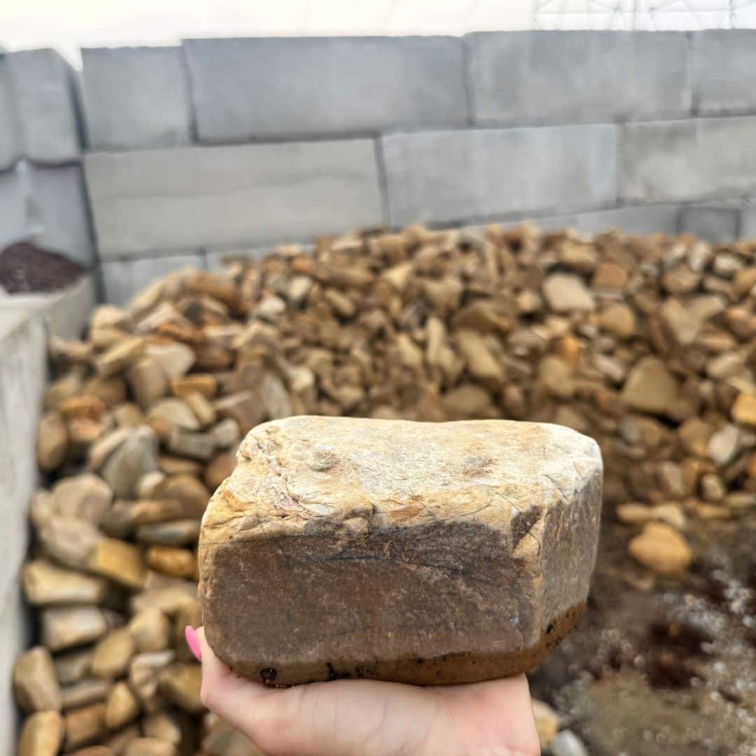 Autumn Haze 4-7 inches Autumn Haze 4-7 inches