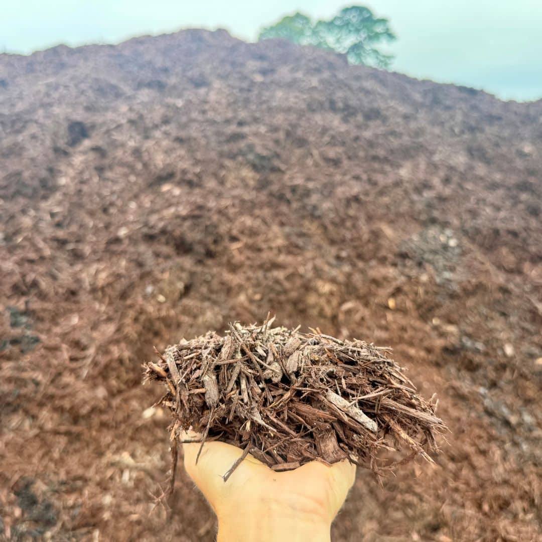 Brown Mulch