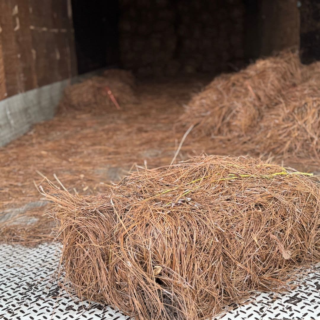 Pine Straw Long Needle Bale SHELBY NC Pine Straw Long Needle Bale SHELBY NC