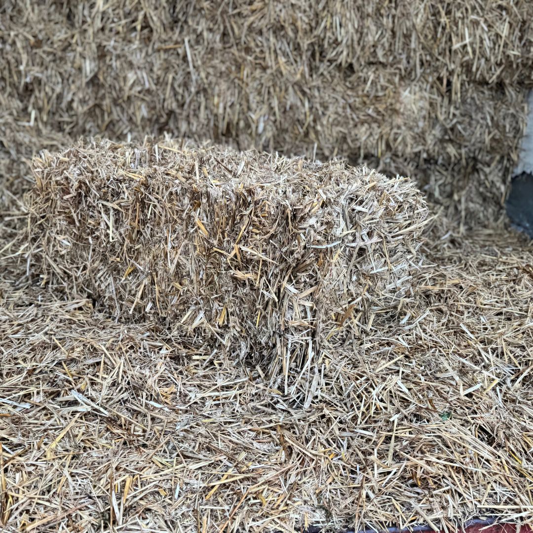Pine Straw Long Needle Bale SHELBY NC
