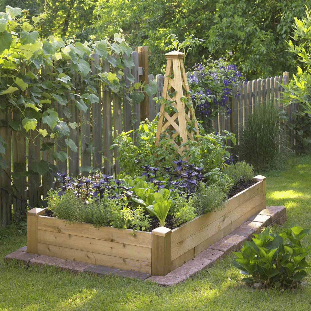 raised bed gardening