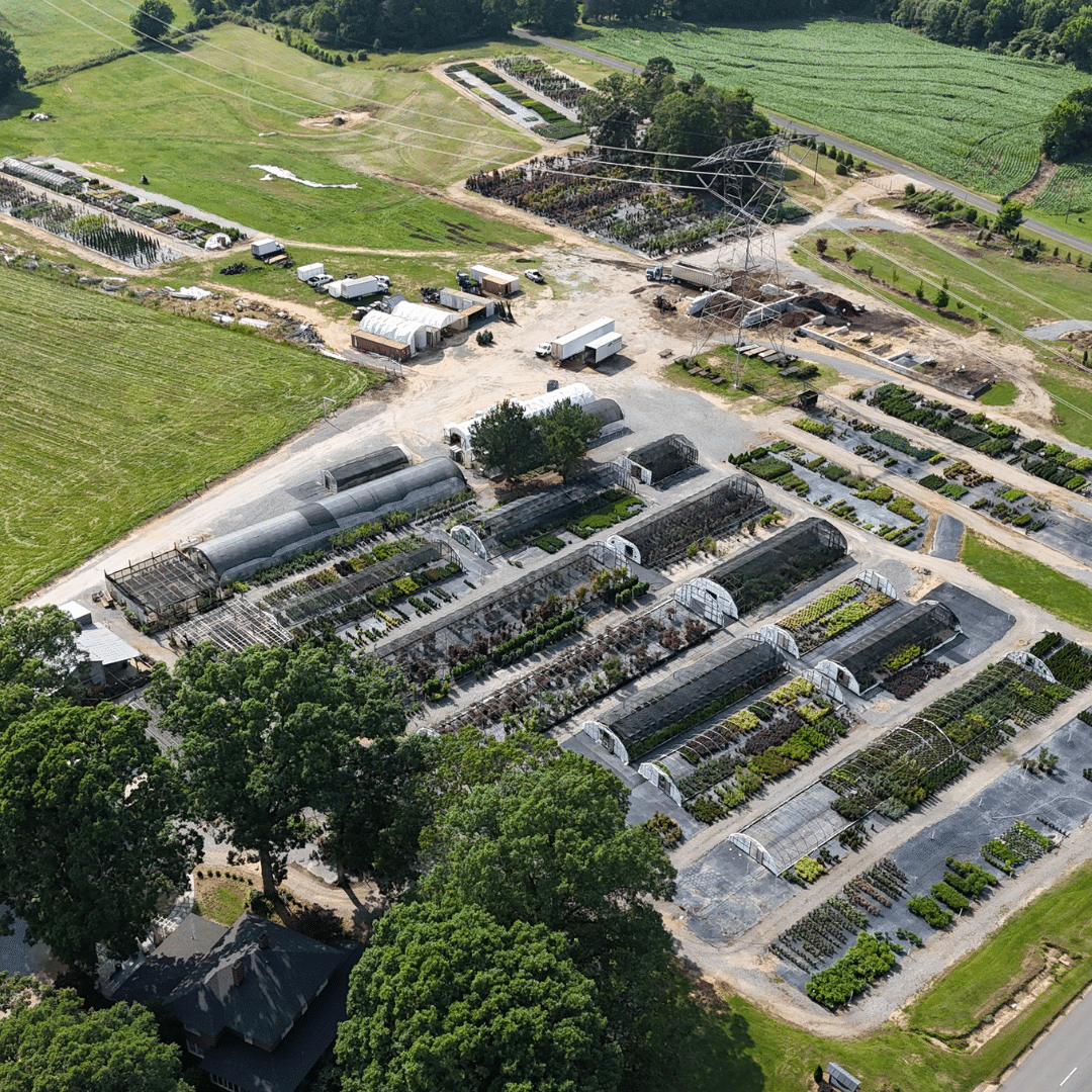 wholesale nursery shelby nc